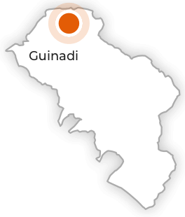 Guinadi