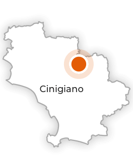 Cinigiano