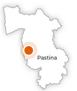 Pastina